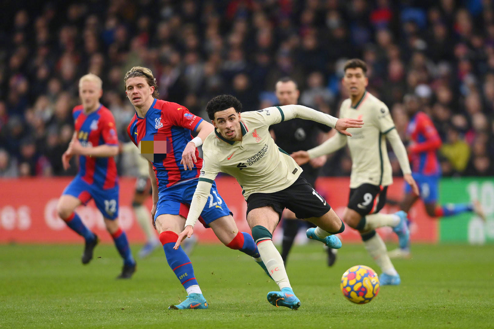 也進一步證 也進一步證